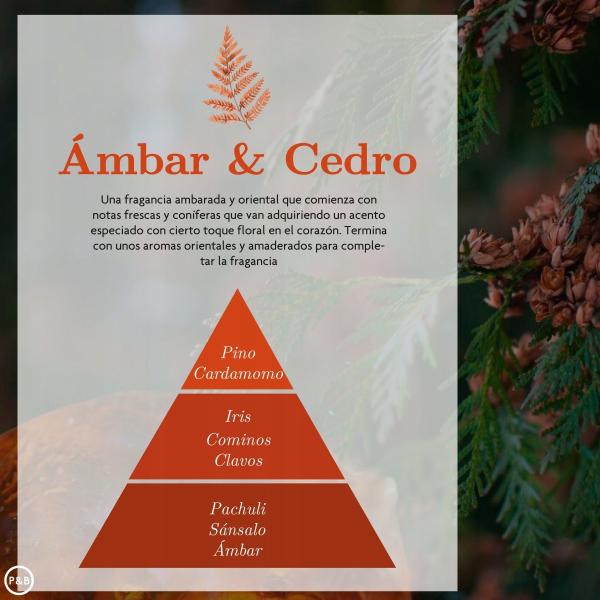 AMBAR ZEN Car Air Freshener – Amber & Cedar | 5 ml - Image 2